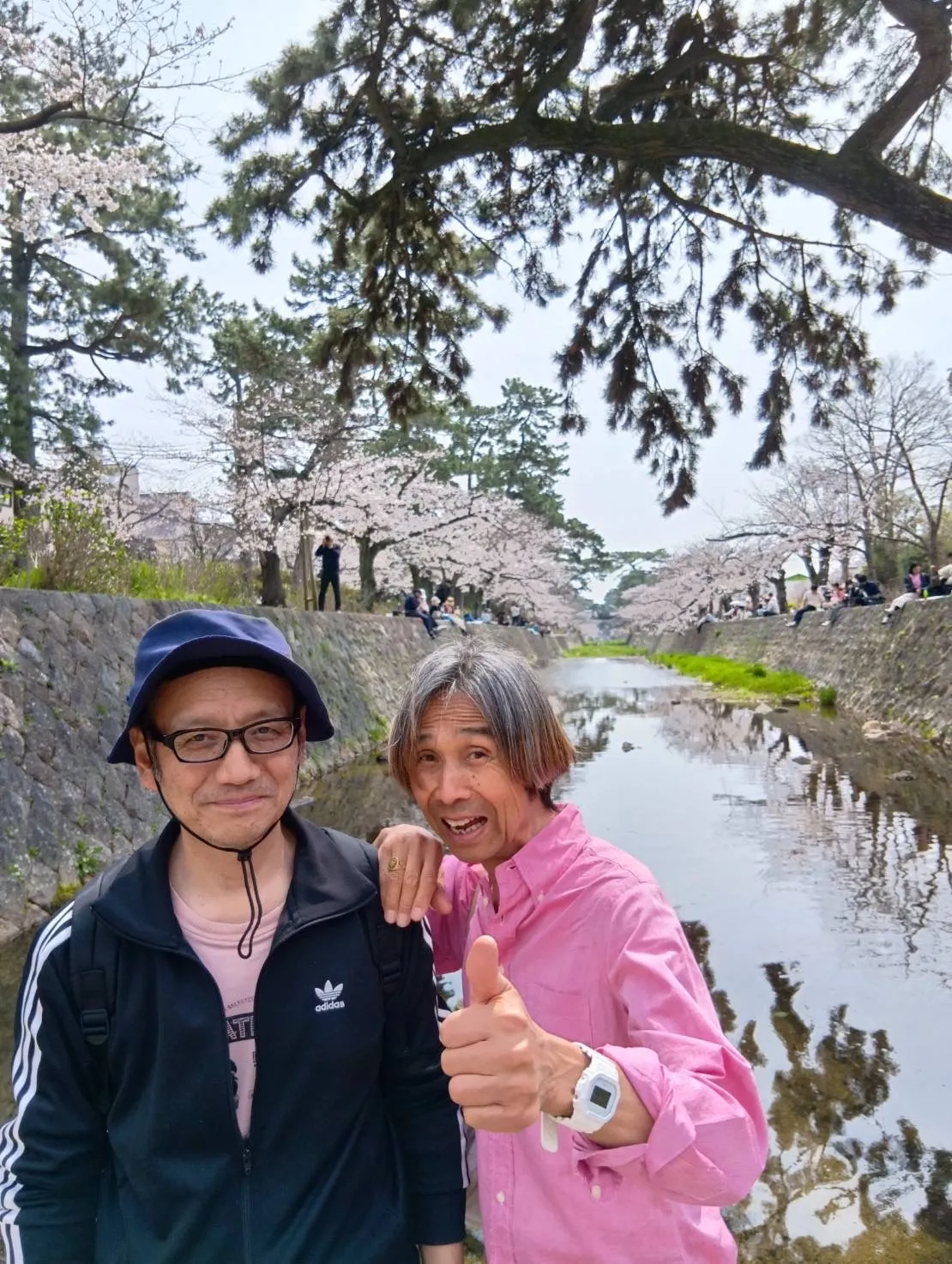 2026年🌸お花見エピソード1